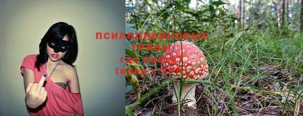 крисы Белокуриха